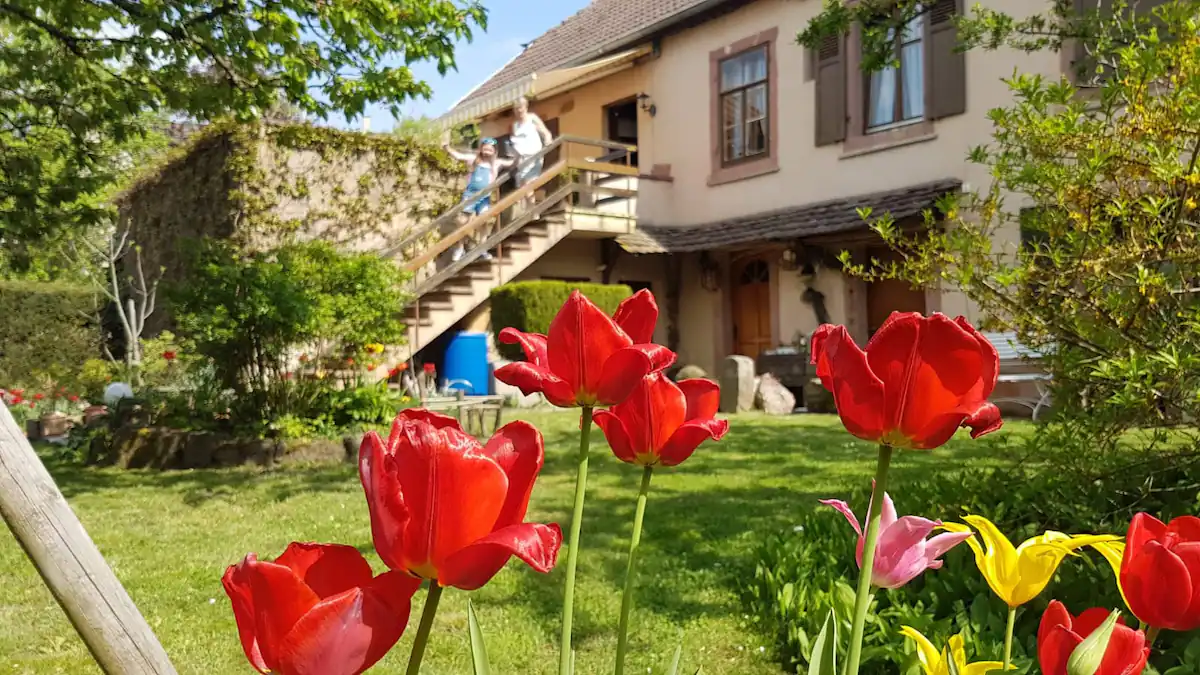 Gîte le Bollet — Vue extérieure de l'appartement à Guebwiller, Alsace